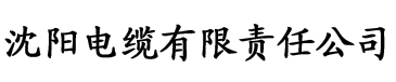 四虎影院成年人电缆厂logo